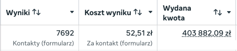 Wynik kampanii leadowej
