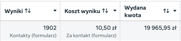 Wynik kampanii leadowej