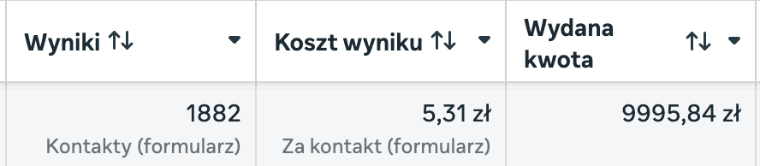 Wynik kampanii leadowej