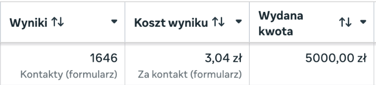 Wynik kampanii leadowej
