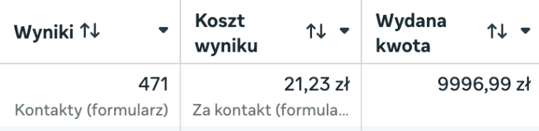 Wynik kampanii leadowej