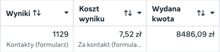 Wynik kampanii leadowej