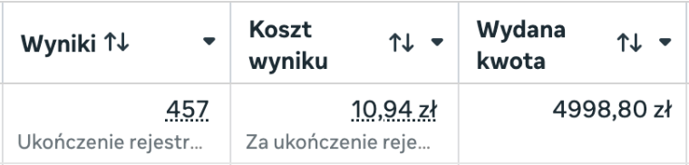 Wynik kampanii leadowej